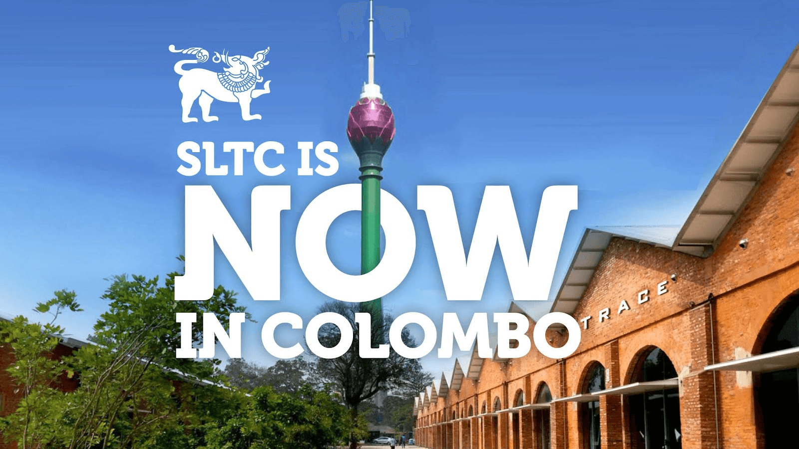 A Global Education at Half the Cost – SLTC Undergraduate Transfer Pathways