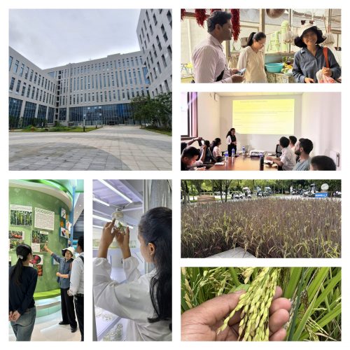 SLTC Agriculture Technology Students during International Training Program in China