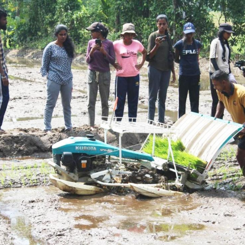 First harvest from 10 years bare land by Agriculture Technology students and staff of SLTC Research University